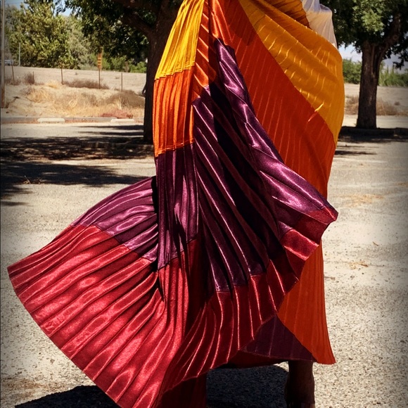 NWT  MULTICOLORED PLEATED SKIRT - Picture 2 of 3